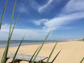 Studio terrasse rénové à neuf (17+19m2) 60m Plage